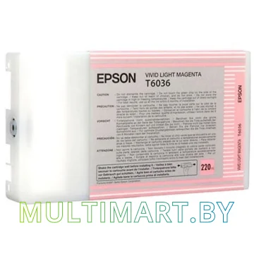 Картридж Epson C13T603600 картинка 2